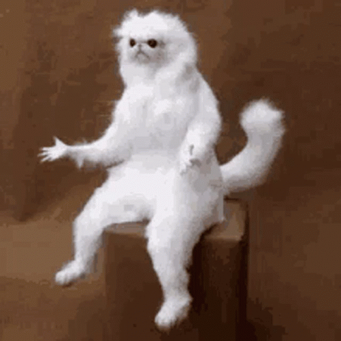 [Obrazek: why-monkey.gif]