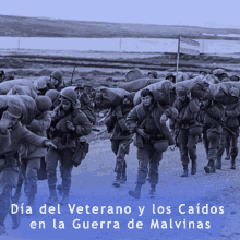 veterano argentina dia del veterano en la guerra de malvinas soldiers