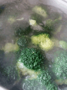 brocoli steamed brocolli