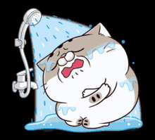 Ami Fat Cat Fgcat GIF - Ami Fat Cat Fgcat Shower GIFs