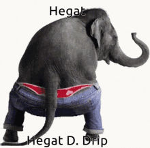 Hegat Drip GIF - Hegat Drip Elephant GIFs