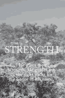 Strength GIF - Strength GIFs