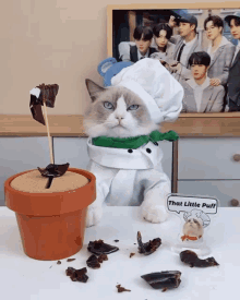Puff Angry That Little Puff GIF - Puff Angry That Little Puff Chef Cat GIFs
