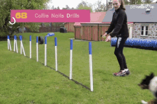 Collie Nails Drills Training GIF - Collie Nails Drills Nails Drills Training GIFs