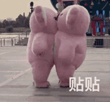 Tietie Pink GIF - Tietie Pink Bear GIFs