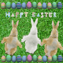 tang916 happy easter easter bunny dancing dancing bunny