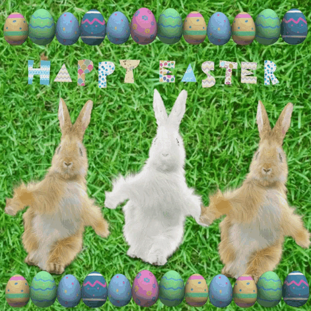Tang916 Happy Easter GIF - Tang916 Happy Easter Easter Bunny GIFs