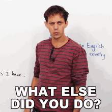 What Else Did You Do Benjamin GIF - What Else Did You Do Benjamin Engvid GIFs