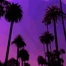 Cali Beverly Hills GIF - Cali Beverly Hills Ca GIFs