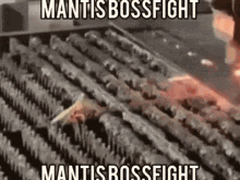 Praying Mantis Boss Fight GIF - Praying Mantis Boss Fight GIFs