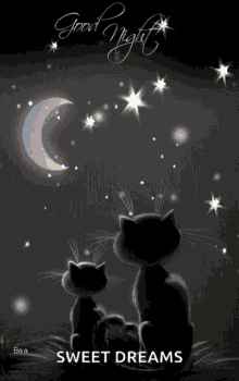 Goodnight Cats GIF - Goodnight Cats Night GIFs