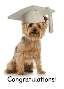Congratulations Graduate Dogs GIF - Congratulations Graduate Dogs GIFs
