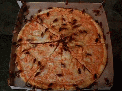 pizza-disgusting.gif