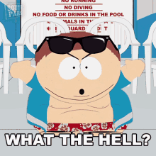 What The Hell Eric Cartman GIF - What The Hell Eric Cartman South Park GIFs
