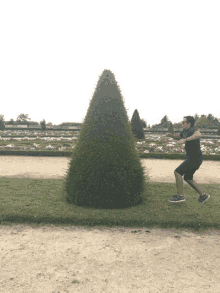 Hang In There Jumping GIF - Hang In There Jumping Tree GIFs