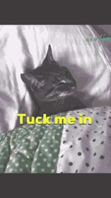 Tuck Me In Sleeping GIF - Tuck Me In Sleeping Goodnight GIFs