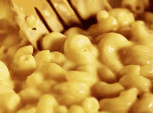 Cheese Mac And Cheese GIF - Cheese Mac And Cheese Bae GIFs