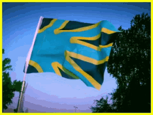 flag waving deaf contact fnsf org