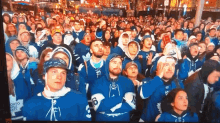 Toronto Maple Leafs Leafs GIF - Toronto Maple Leafs Maple Leafs Leafs GIFs