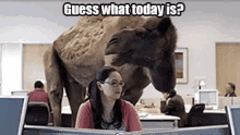 Office Happy Hump Day Wednesday Camel Camel GIF - Hump Day Wednesday Camel GIFs