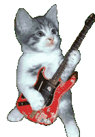 Gato Guitarra Sticker - Gato Guitarra Hola Stickers