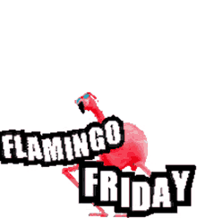 friday flamingo