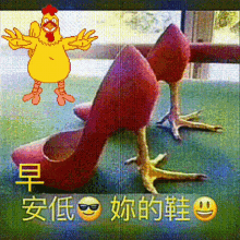 chicken funny shoes laughing heels