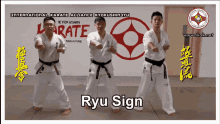 karate kyokushinryu