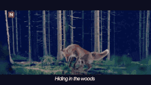 What Does The Fox Say Song GIF - What Does The Fox Say Song Dance GIFs