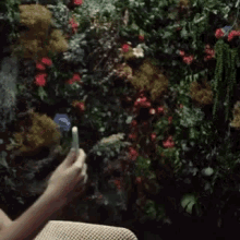 gifs amaia amaia romero el relampago video recording gifs amaia amaia romero el relampago video recording