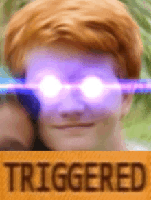 Ginger Triggered GIF - Ginger Triggered Staring GIFs