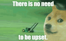 There Is No Need To Be Upset Dont Be Upset GIF - There Is No Need To Be Upset Dont Be Upset Funny Meme GIFs