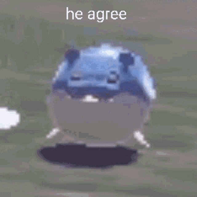 Spheal He Agree GIF - Spheal He Agree Nodding - Discover & Share GIFs