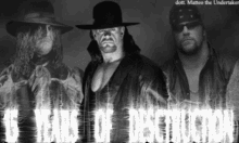 Undertaker Wwe GIF - Undertaker Wwe GIFs