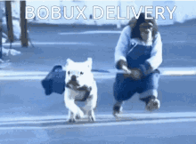 Bobux Delivery GIF - Bobux Delivery Bobuxdelivery GIFs