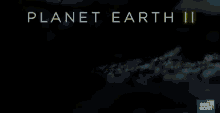 planet earth2 tv show british nature doc worm crawl