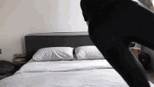 Bed Time Jump GIF - Bed Time Bed Jump GIFs
