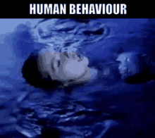 Bjork Human Behaviour GIF - Bjork Human Behaviour Alternative GIFs