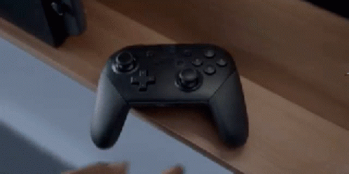 take a Nintendo Switch Controller from the table