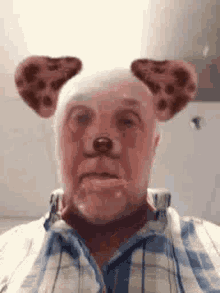 Filter Dog GIF - Filter Dog Old Man GIFs