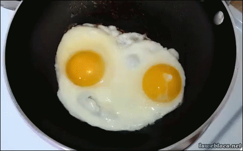 Cooking Eggs GIF - Egg Cooking Sunny Side Up - Discover & Share GIFs