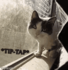 Tip Tap GIF - Tip Tap GIFs