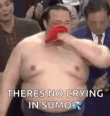 Kisenosato Sumo Wrestling GIF - Kisenosato Sumo Wrestling No Crying GIFs