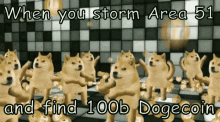 area51 area51raid dogecoin doge