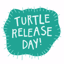turtle turtle release orp olive ridley project sea turtle turtle turtle release orp olive ridley project sea turtle