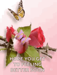 get well soon feel better soon glitter rose butterfly