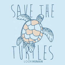Turtles Animal GIF - Turtles Animal Save The Turtles GIFs