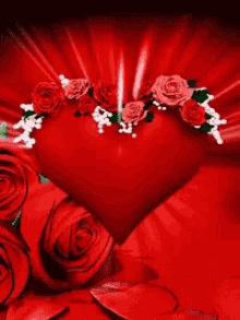 Gif Love Rose Beautiful Flowers : Afternoon Love For You Flower Love