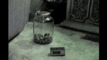 Presenting The World'S Smartest Mouse! GIF - Mouse Animals Rodents GIFs