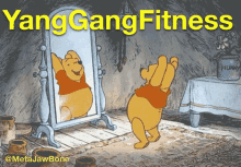 Yang Gang Fitness Winnie The Pooh GIF - Yang Gang Fitness Yang Gang Winnie The Pooh GIFs
